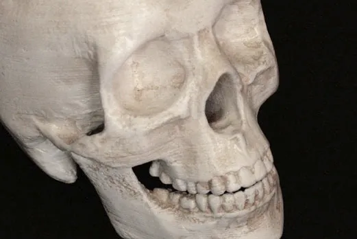 Cráneo de T-Rex y humano por impresión 3D